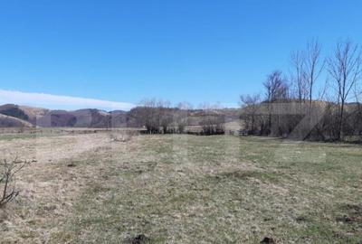 Teren extravilan 1.000 mp Valea Draganului - 2