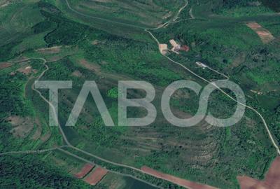 Teren extravilan de vanzare 10000 mp zona Gusterita Teren extravilan de vanzare 10000 mp zona Gusterita - 1