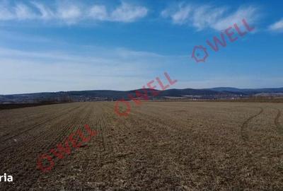 Teren de 30350 mp, în Central