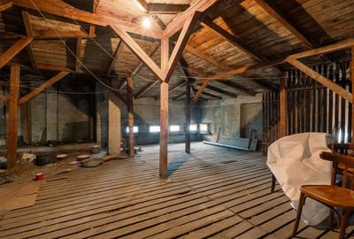 O vila cu prestanta, in Cismigiu - 27