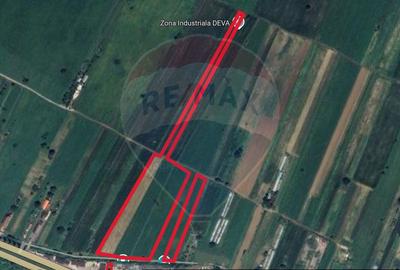 Teren Construcții intravilan de 30016 mp, în Sântuhalm - 4