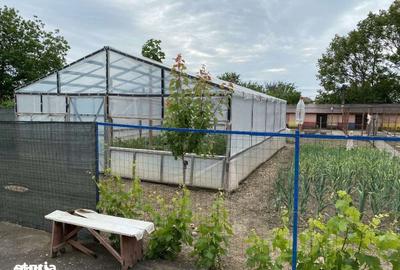 Casă cu 5 camere cu Teren 1000 Mp în Putineiu - 2