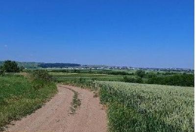 Teren extravilan Bosanci, ID: R2649417 - 2