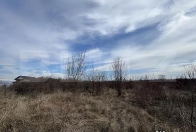Teren de 15000 mp, în Centura - 2