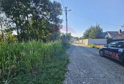 Teren intravilan, 7500 mp in Moara Carp / Strada Eternita... - 5