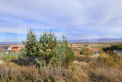 Casa de vanzare, sub padure, intr-un cadru natural deoseb - 4