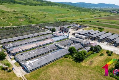 Teren 100.000 mp + Spatii Industriale Bacau - 17