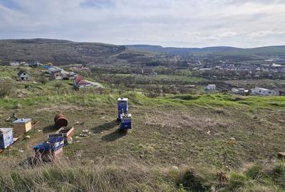 Spațiu comercial, în Baciu - 5
