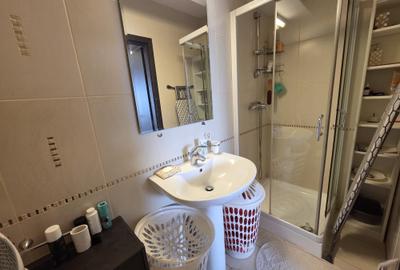 Apartament cu 3 camere decomandat în Ultimul leu - 9