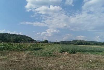 Cota de 1/2 din teren 2356 mp Com. Mihaesti, jud Valcea - 1