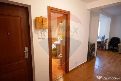 Apartament cu 2 camere decomandat în Nufărul - 3