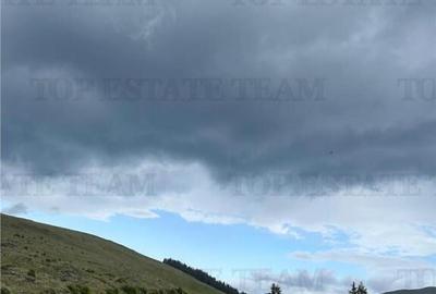 SUPER OPORTUNITATE, DE VANZARE O PROPRIETATE SPECIALA, MUNTE - 11