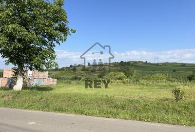 Teren HALA de vanzare iesirea din Sura Mare spre Hamba. - 2