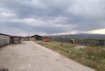 Ferma de inchiriat teren 21.000 mp, utilita?i complete pt activitate agricola si sau logistica - 2