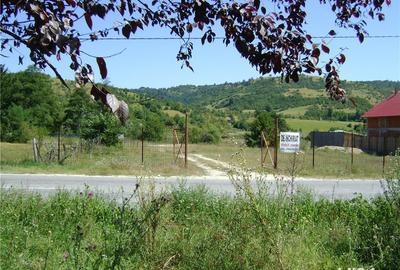 Spațiu comercial, în Eșelnița - 8