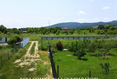 TEREN 2510 MP, PRETABIL DEZVOLTARE REZIDENTIALA - 3