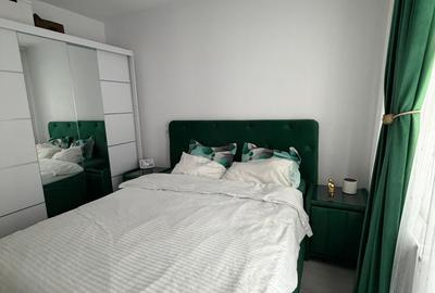 Apartament cu 2 camere decomandat, mobilat în Theodor Pallady - 4