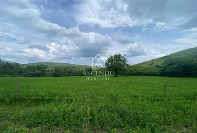 Teren Construcții intravilan de 15900 mp, în Fințești - 12
