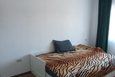 Duplex cu 4 camere cu Teren 345 Mp în Remetea Mare - 10
