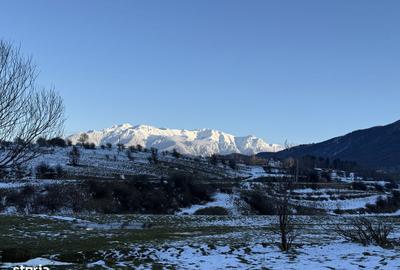 Spațiu comercial, în Central - 2