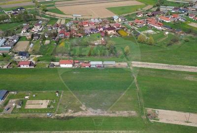 Teren de vanzare intravilan Catalina - 4