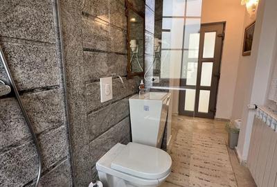 Casă cu 3 camere cu Teren 2000 Mp în Băcia - 10