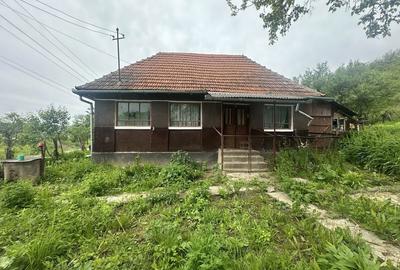 Spațiu comercial, în Brusturi - 4