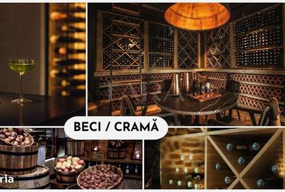 Casă cu 4 camere cu Teren 582 Mp în Dâmbul Rotund - 2