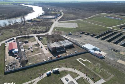 Teren de 7533 mp, în Pârneava - 10