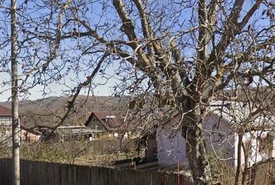 Casă cu 2 camere cu Teren 50 Mp în Davidești - 1