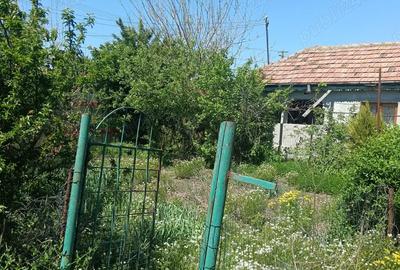 Vand casa batraneasca sat ciresanu com Baba Ana judetul Prahova casa compusa din trei camere plus de - 11