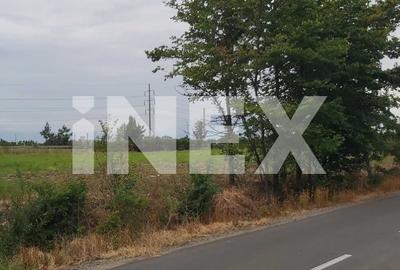 Teren intravilan 4.800 mp - langa Autostrada Pitesti - SuperNova - 3