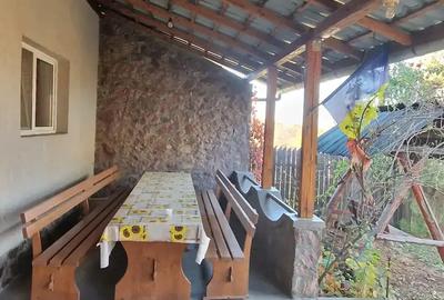 Cabana de vanzare, dealul viilor, Ineu - 3