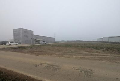 Clinceni- Mondelez-Chipita (Domnești, Prelungirea Ghencea, Bragadiru) - 5