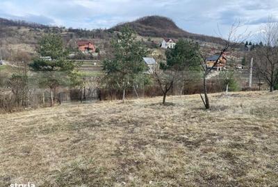 Spațiu comercial, în Slătinița - 5