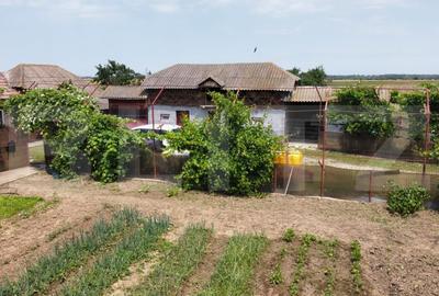 Oportunitate de achizitie – Casa traditionala, ideala pentru viata la tara! - 5