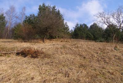 Teren agricol intravilan de 20370 mp, în Schei - 4