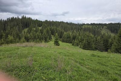 Spațiu comercial, în Dârmoxa - 7