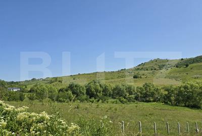 Teren de 1200 mp, în Sălicea - 6