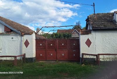 Casa de vanzare in ?ichindeal, 35 km de Sibiu - 4