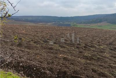 Teren în Dorobanț - 7
