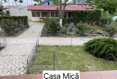 Vilă Coslogeni bratul Borcea - 2