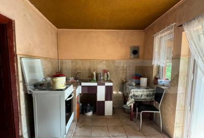 Casa cu 3 camere, 70 mp, in Ghelari - 12