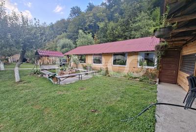 Spatiu de vanzare in Valea Macesului judel Valcea iesire la Lotru - 33