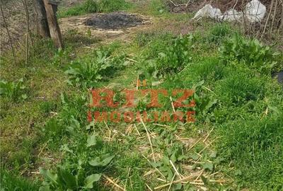 Casă cu 2 camere cu Teren 1110 Mp în Fălcoiu - 5