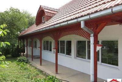 Viile Satu Mare 2 case cu teren 3200 mp - 4