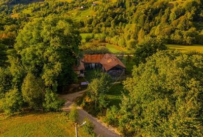 Teren intravilan cu PRIVELISTE UNICA |BRAN, BV| 3,000mp | COMISION 0 | - 17