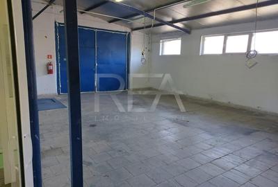 Hala 450 mp depozit / productie Sos Giurgiului (Arteca) - 3