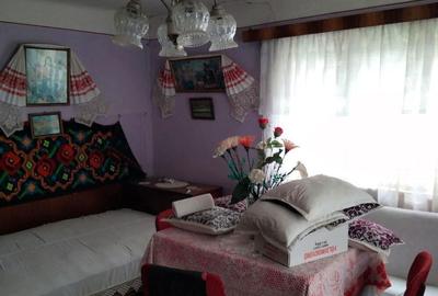 Casă cu 3 camere cu Teren 2482 Mp în Vultureni - 3