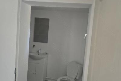 Casă cu Teren 1500 Mp în Tormac - 4